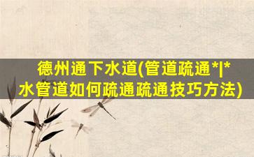 德州通下水道(管道疏通*|*水管道如何疏通疏通技巧方法)